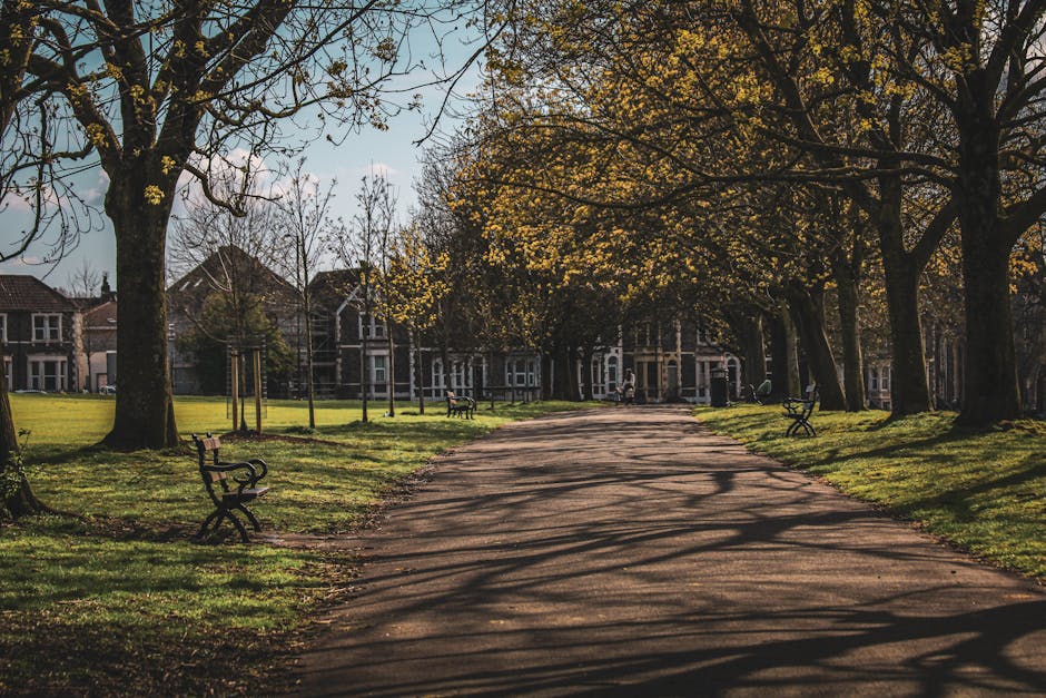 A paved pathway in a park lined with large deciduous trees casting long shadows on the ground, with green grass on either side. Several empty benches made of black metal with wooden slats are placed along the path and facing the open grassy areas. In the background, there are residential buildings with brick facades and pitched roofs, partially obscured by the foliage. The scene appears to be captured during late afternoon or early evening, with sunlight filtering through the trees' branches and leaves. This tranquil park setting is unrelated to house removals or moving services, and no furniture or moving equipment is visible in the image.